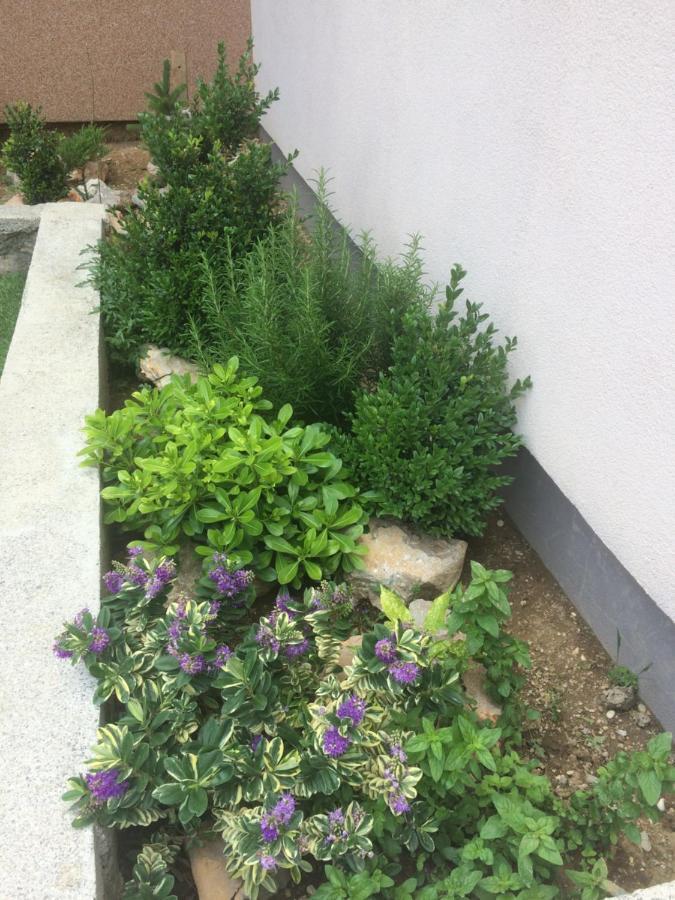 Apartment 策萨利卡 外观 照片